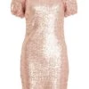 Pink Sequin Puff Sleeve Dress 1 Pink Sequin Puff Sleeve Dress -Princess Style Shop 00100031896 ZM