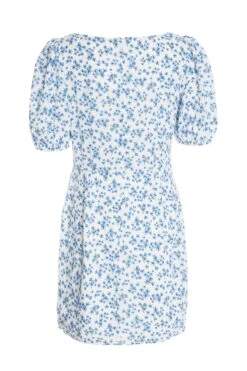 Blue Ditsy Floral Bodycon Mini Dress -Princess Style Shop 00100033133 ZB