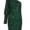 Bottle Green Sequin One Shoulder Mini Dress -Princess Style Shop 00100035761 ZM
