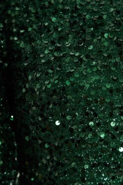 Bottle Green Sequin One Shoulder Mini Dress -Princess Style Shop 00100035761 ZS