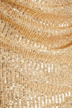 Gold Sequin Ruched Maxi Dress -Princess Style Shop 00100035932 ZS