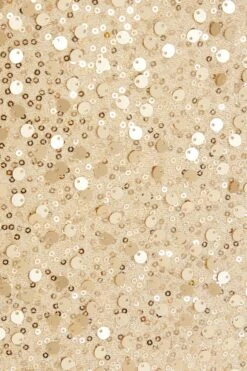 Gold Sequin Mini Skirt -Princess Style Shop 00100036035 ZS