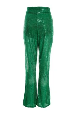 Green Sequin Palazzo Trousers -Princess Style Shop 00100036166 ZB