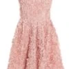 Pink Chiffon Floral Mini Dress -Princess Style Shop 00100036452 ZM