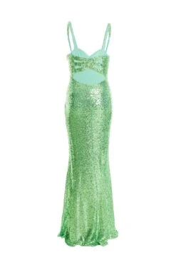 Green Sequin Ruched Bodycon Maxi Dress -Princess Style Shop 00100036822 ZB