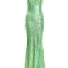 Green Sequin Ruched Bodycon Maxi Dress -Princess Style Shop 00100036822 ZM