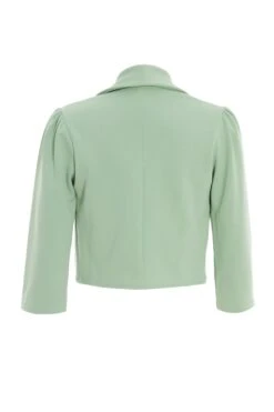 Sage Shawl Collar Crop Jacket -Princess Style Shop 00100037568 ZB