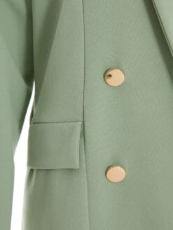 Sage Buttoned Blazer -Princess Style Shop 00100038051 ZS