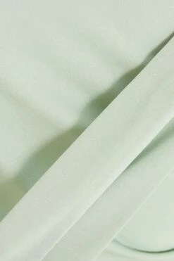 Sage Long Sleeve Frill Midi Dress -Princess Style Shop 00100038498 ZS